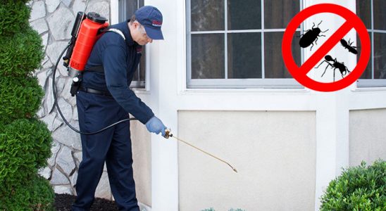 Arsuz Hamam Böceği İlaçlama böcek ilaçlama ve haşere kontrolü — ilaclama-tr.com